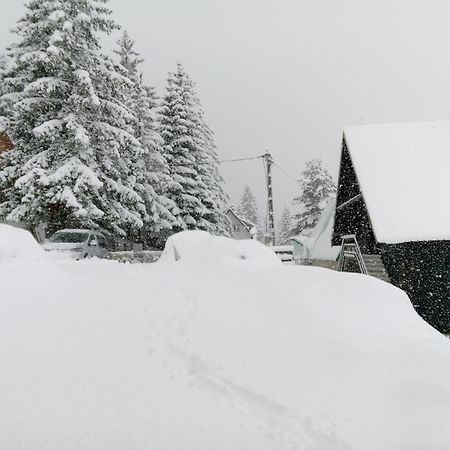 Durmitor Apartment Žabljak Екстериор снимка