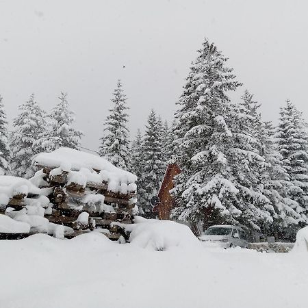 Durmitor Apartment Žabljak Екстериор снимка