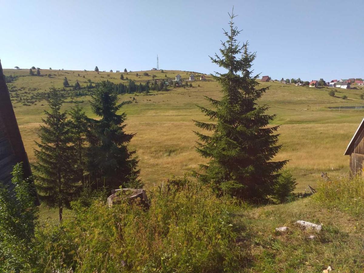Durmitor Apartment Žabljak Екстериор снимка