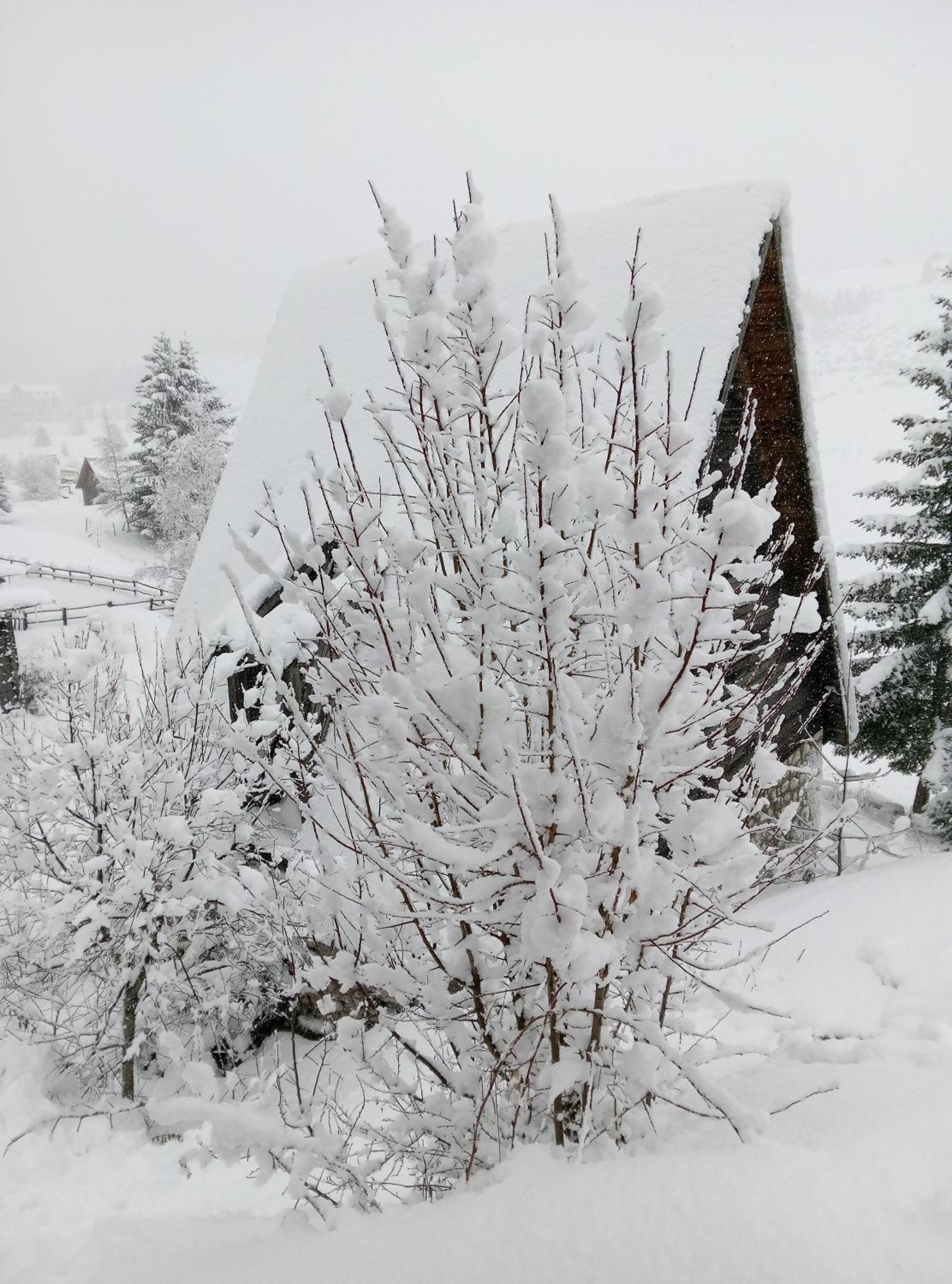 Durmitor Apartment Žabljak Екстериор снимка