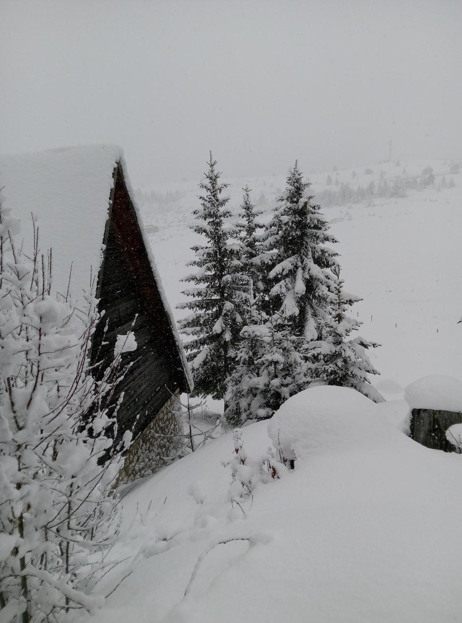 Durmitor Apartment Žabljak Екстериор снимка