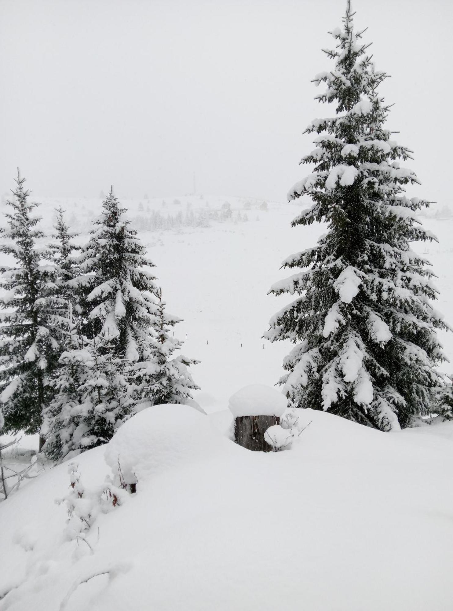Durmitor Apartment Žabljak Екстериор снимка