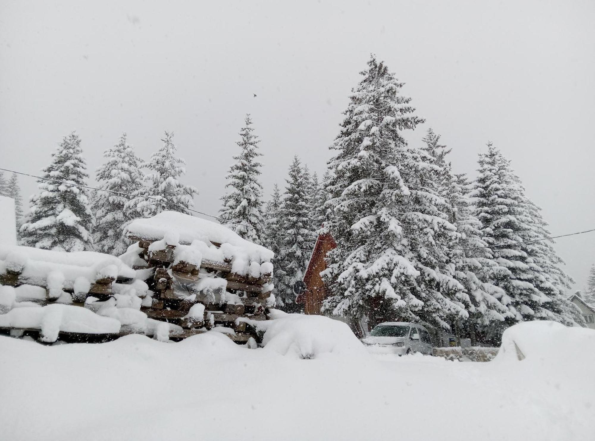 Durmitor Apartment Žabljak Екстериор снимка